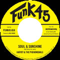 HARVEY & THE PHENOMENALS / SOUL & SUNSHINE + WHAT CAN I DO
