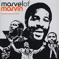 V.A.(MARVEL OF MARVIN) / MARVEL OF MARVIN - THE HEARD INSTINCT ESSENTIAL COVERS & COOKIES