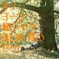 YOKO ONO / ヨーコ・オノ / 紙ジャケ4タイトルまとめ買いセット