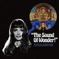 V.A. (PSYCHE) / THE SOUND OF WONDER! (CD)