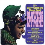BARRY GOLDBERG BLUES BAND / バリー・ゴールドバーグ・ブルース・バンド / BLOWING MY MIND
