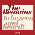 REMAINS / リメインズ / DIDDY WAH DIDDY/ONCE BEFORE