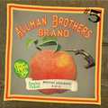 ALLMAN BROTHERS BAND / オールマン・ブラザーズ・バンド / BOSTON COMMON 8/17/71