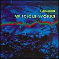 ICICLE WORKS / アイシクル・ワークス / BEST OF THE ICICLE WORKS / ベスト・オブ・ジ・アイシクル・ワークス