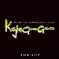 KAJAGOOGOO & LIMAHL / TOO SHY: THE BEST OF KAJAGOOGOO & LIMAHL
