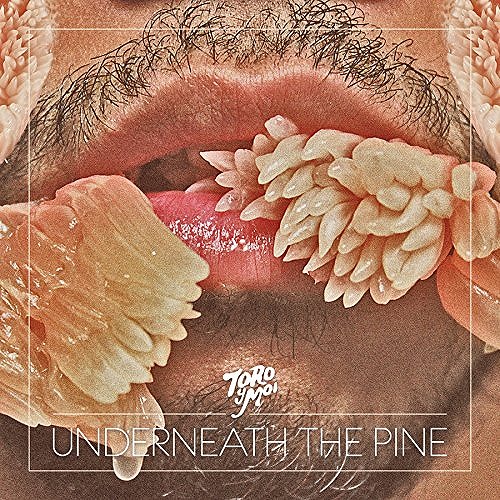 TORO Y MOI / トロ・イ・モワ / UNDERNEATH THE PINE (LP)