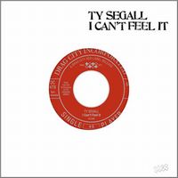 TY SEGALL / タイ・セガール / I CAN'T FEEL IT
