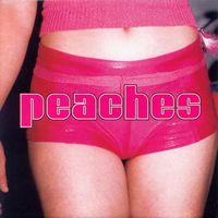 PEACHES / ピーチズ / TEACHES OF PEACHES (LP)
