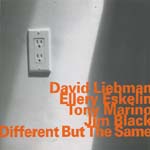 DAVE LIEBMAN & ELLERY ESKELIN / デイヴ・リーブマン＆エラリー・エスケリン / DIFFERENT BUT SAME