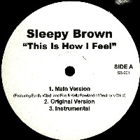 SLEEPY BROWN / スリーピー・ブラウン / THIS IS HOW I FEEL