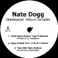NATE DOGG / ネイト・ドッグ / UNRELEASED ALBUM SAMPLER