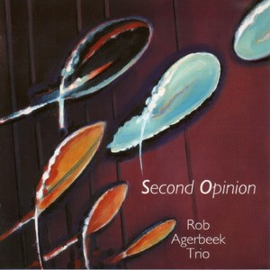 ROB AGERBEEK / ロブ・アフルベーク / Second Opinion