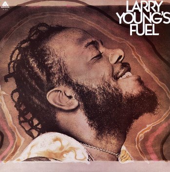 LARRY YOUNG / ラリー・ヤング / Fuel(LP) / RARE GROOVE A to Z 完全版 掲載アイテム
