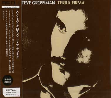 STEVE GROSSMAN / スティーヴ・グロスマン / TERRA FIRMA / テラ ファーマ