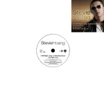 STEVIE HOANG / スティーヴィー・ホワン / ALL NIGHT LONG - DJ MIKE-MASA REMIX