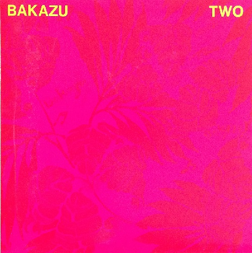 BAKAZU / バカズ / BAKAZU-2