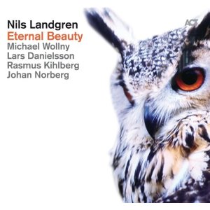 NILS LANDGREN / ニルス・ラングレン / Eternal Beauty(LP)