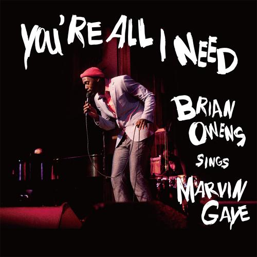 BRIAN OWENS / ブライアン・オーウェンス / YOU'RE ALL I NEED: BRIAN OWENS SINGS MARVIN GAYE / ユーアー・オール・アイ・ニード: ブライアン・オウエンス・シングス・マーヴィン・ゲイ
