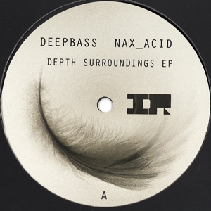 DEEPBASS & NAX_ACID / DEPTH SURROUNDINGS EP