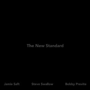 JAMIE SAFT / ジェイミー・サフト / New Standard