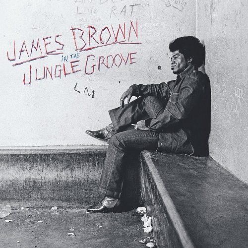 JAMES BROWN / ジェームス・ブラウン / IN THE JUNGLE GROOVE (2LP)