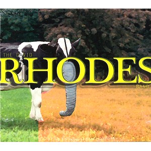 DAVID RHODES / デイヴィッド・ローズ / THE DAVID RHODES BAND