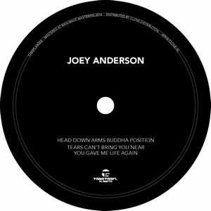 JOEY ANDERSON / ジョイ・アンダーソン / HEAD DOWN ARMS BUDDHA POSITION
