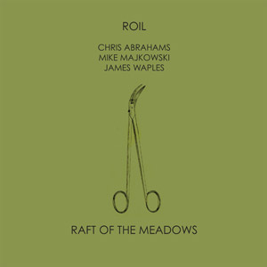 ROIL / Raft of the Meadows(LP)