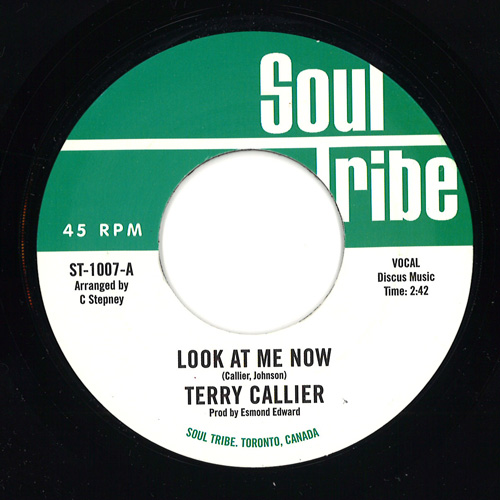 TERRY CALLIER / テリー・キャリアー / LOOK AT ME NOW / ORDINARY JOE (7")