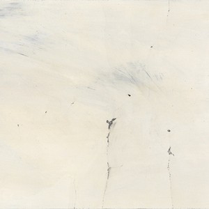 ROB MAZUREK / ロブ・マズレク / Alternate Moon Cycles(LP)