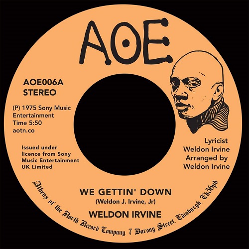 WELDON IRVINE / ウェルドン・アーヴィン / WE GETTIN' DOWN / THE POWER AND THE GLORY (7")