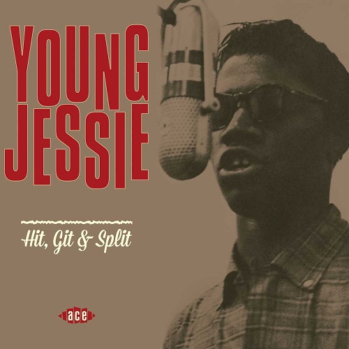 YOUNG JESSIE / ヤング・ジェシー / HIT, GIT & SPLIT (LP)