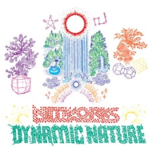 NETWORKS / Dynamic Nature