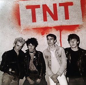 TNT (PUNK) / ティーエヌティー / COMPLETE RECORDINGS