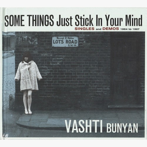 VASHTI BUNYAN / ヴァシュティ・バニヤン / SOME THINGS JUST STICK IN YOUR MIND
