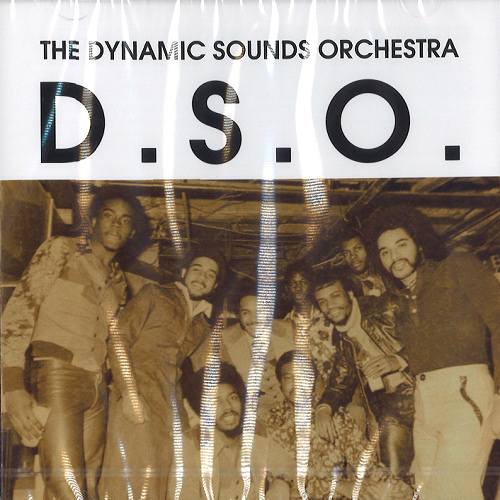 DYNAMIC SOUNDS ORCHESTRA / ダイナミック・サウンズ・オーケストラ / D.S.O