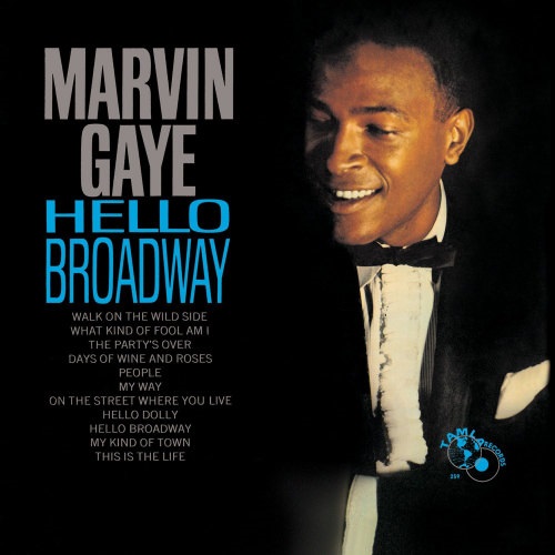 MARVIN GAYE / マーヴィン・ゲイ / HELLO BROADWAY (180G LP)