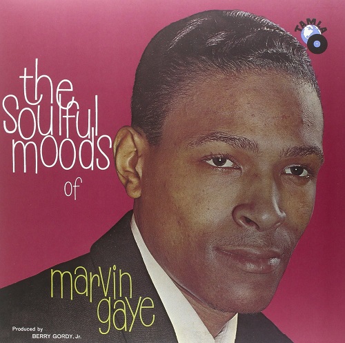 MARVIN GAYE / マーヴィン・ゲイ / SOULFUL MOODS OF MARVIN GAYE (180G LP)