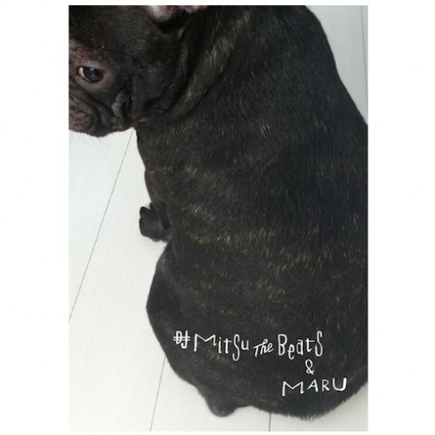 DJ MITSU THE BEATS (GAGLE) / DJ Mitsu The Beats & MARU"CD+ZINE"