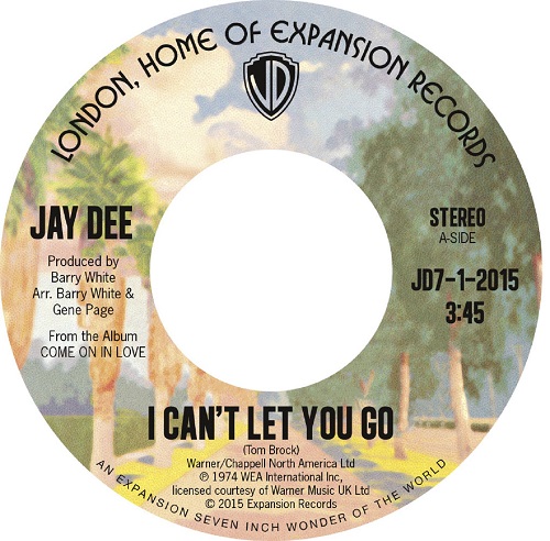 JAY DEE (SOUL) / ジェイ・ディー / I CAN'T LET YOU GO / COME ON IN LOVE (7")