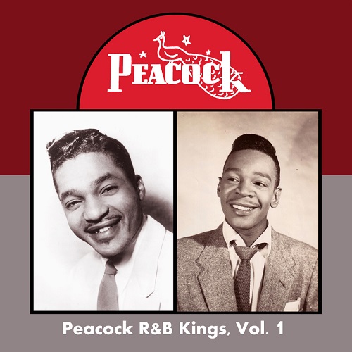 V.A. (PEACOK R&B KINGS) / PEACOK R&B KINGS VOL.1 (CD-R)