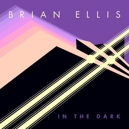 BRIAN ELLIS / ブライアン・エリス / IN THE DARK (LP)