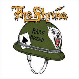 SHRINE / RARE BREED (LP)