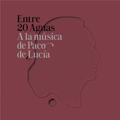 V.A. (ENTRE 20 AGUAS) / オムニバス / ENTRE 20 AGUAS - A LA MUSICA DE PACO DE LUCIA