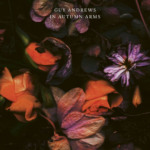 GUY ANDREWS / IN AUTUMN ARMS