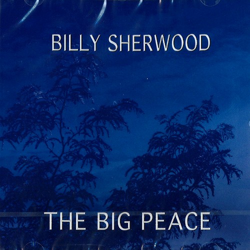 BILLY SHERWOOD / ビリー・シャーウッド / THE BIG PEACE