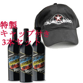 POLICE / ポリス / SYNCHRONICITY RED WINE BLEND 2012 3Bottle Collection with Cap Set / シンクロニシティー 赤ワインブレンド 2012 キャップ付3本セット