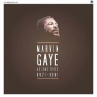 MARVIN GAYE / マーヴィン・ゲイ / MARVIN GAYE VOL.3: 1971 - 1981 (180G 8LP BOX)