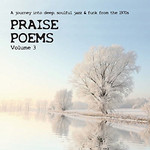 V.A. (PRAISE POEMS) / PRAISE POEMS VOLUME 3 (2LP)
