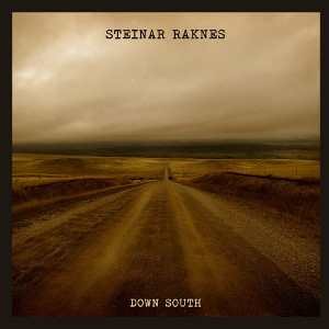 STEINAR RAKNES / スタイナル・ラクネス / Down South(LP)
